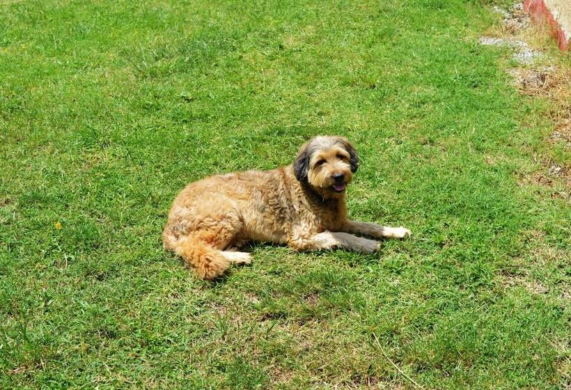 Rectoría De Castellar De La Muntanya