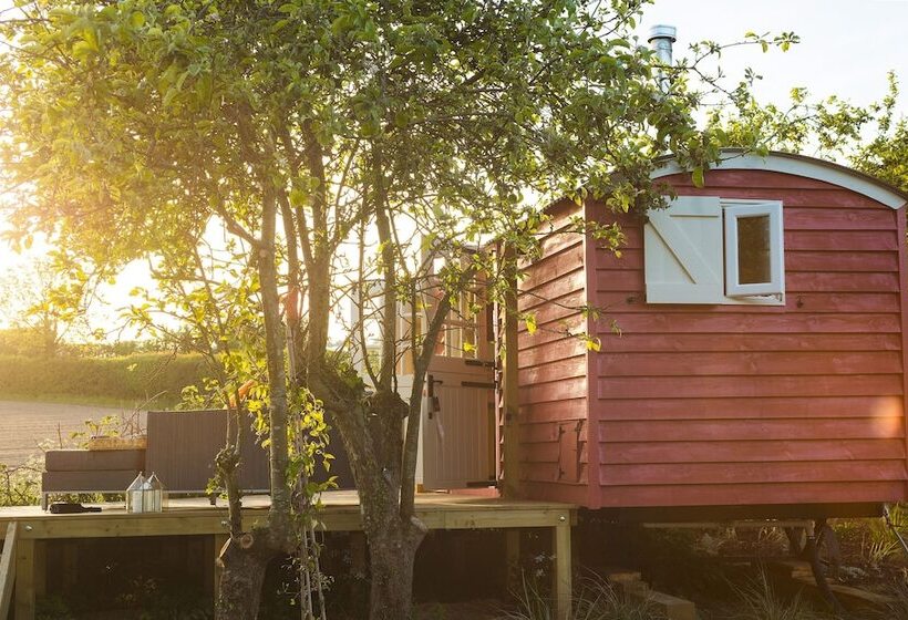 Samsara Retreat And Yoga   Adults Only