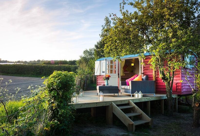 Samsara Retreat And Yoga   Adults Only