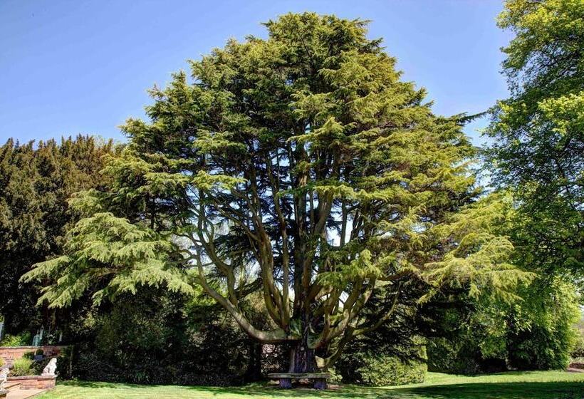 The Old Rectory B&b Adults Only