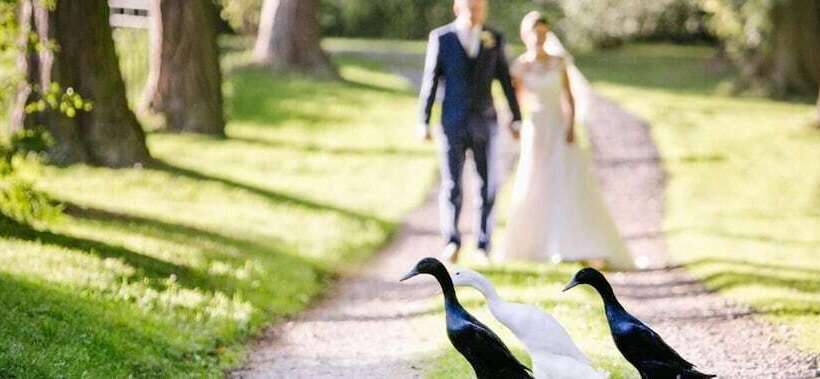 The Old Rectory B&b Adults Only