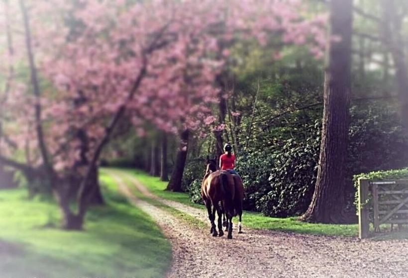 The Old Rectory B&b Adults Only