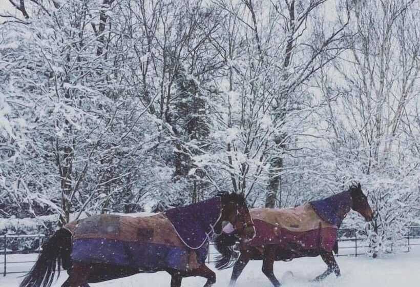 The Old Rectory B&b Adults Only