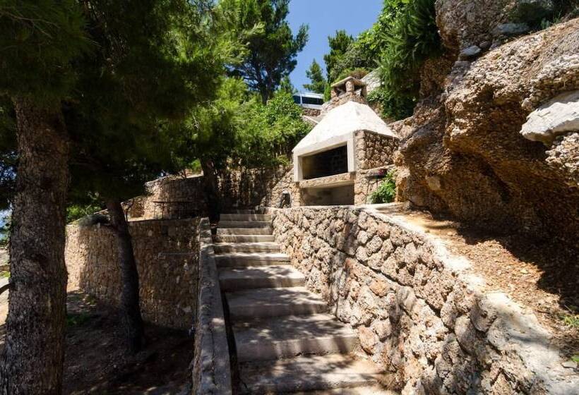 Apartments Plavac Mali