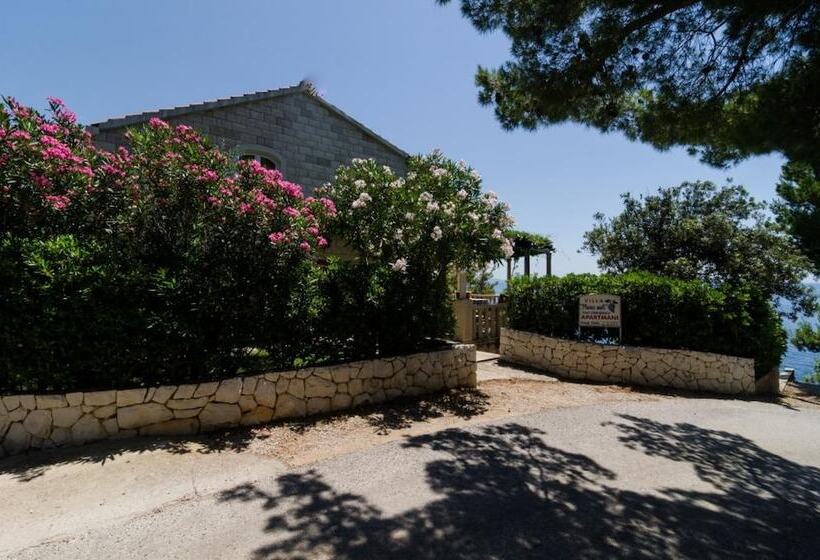 Apartments Plavac Mali