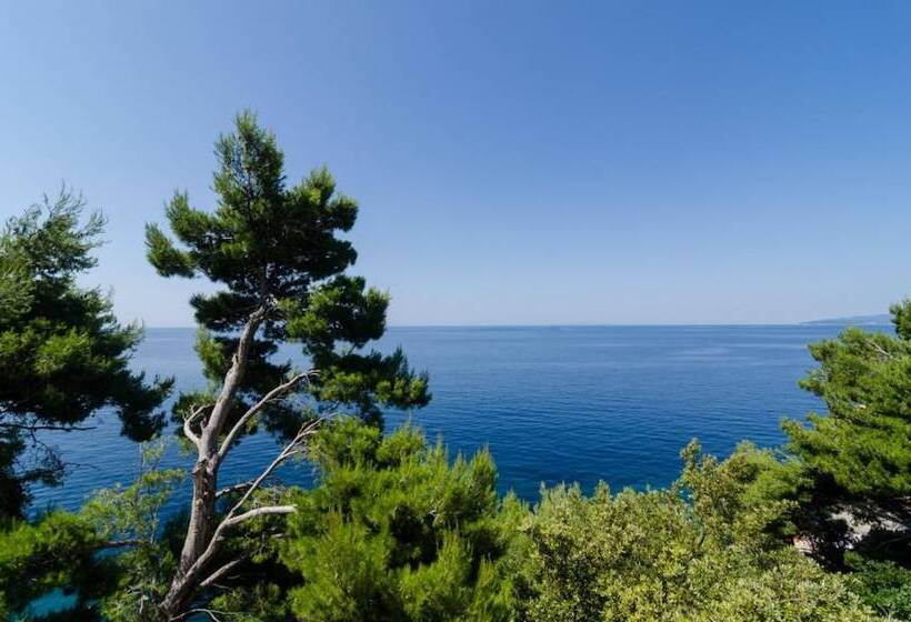 Apartments Plavac Mali