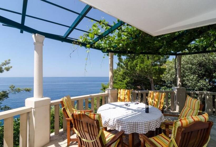 Apartments Plavac Mali