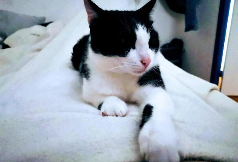 مبيت وإفطار La Centenaire Gruissan   Maison D Hôte