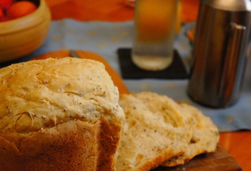 Bed and Breakfast La Maison Verte