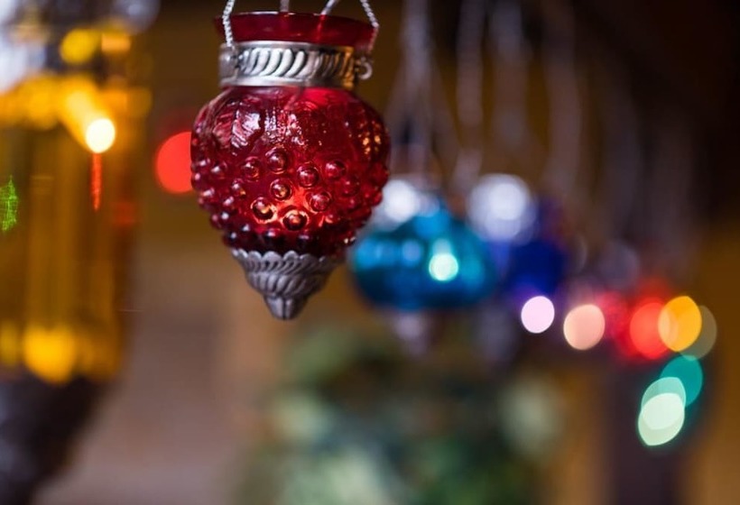 Bohemian Hideaway Finca Exotic Retreat