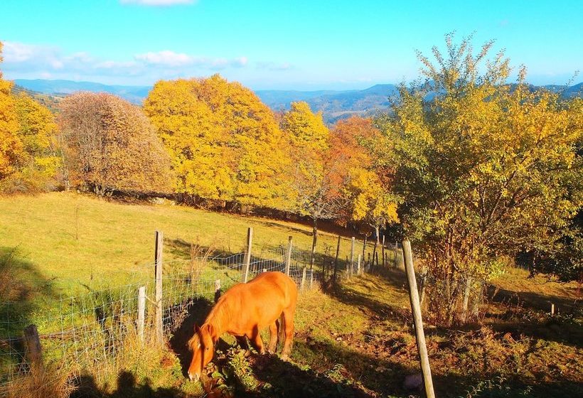 Gite La Petite Finlande