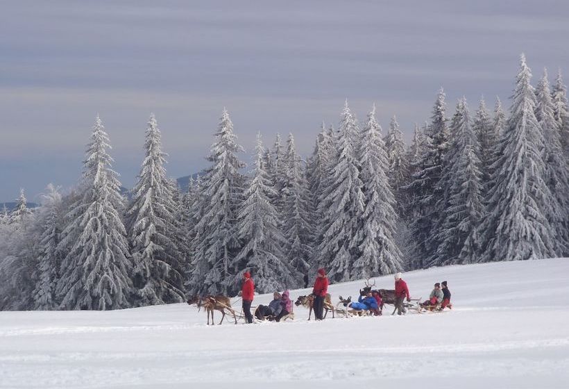 Gite La Petite Finlande