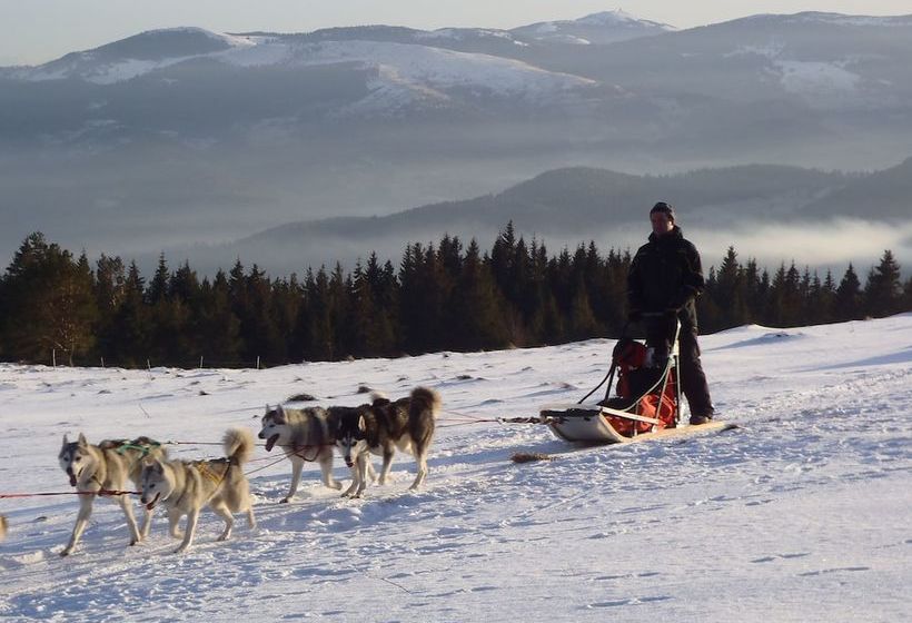 Gite La Petite Finlande