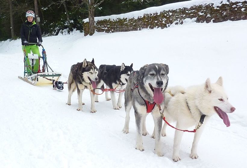 Gite La Petite Finlande