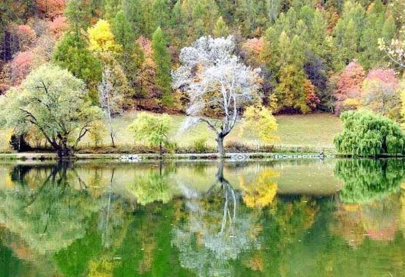 Gites Communaux Du Lauzetubaye