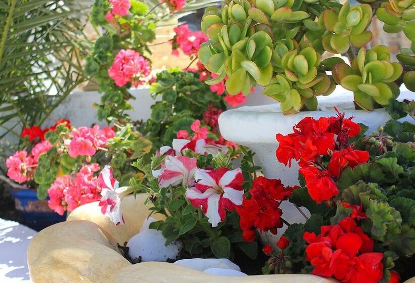 בית מלון כפרי Amaryllis Studios