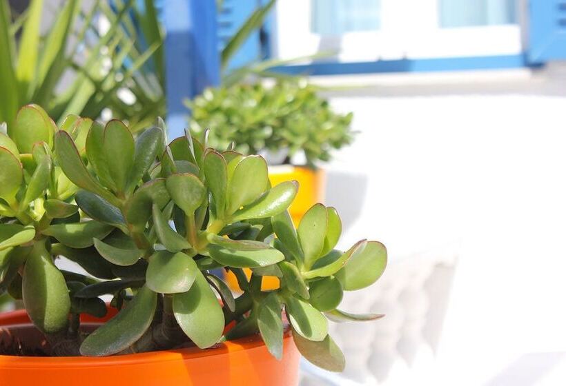 בית מלון כפרי Amaryllis Studios