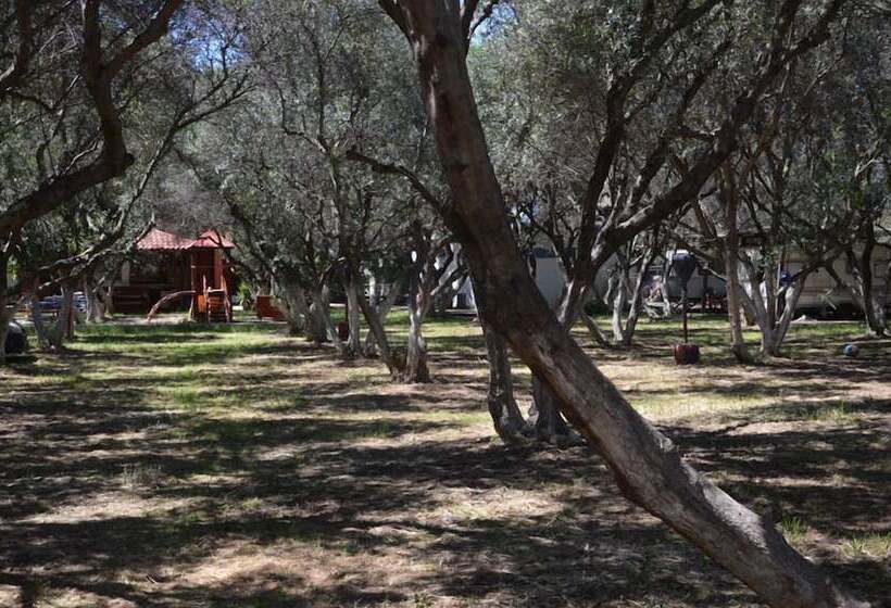 فندق Camping Chania