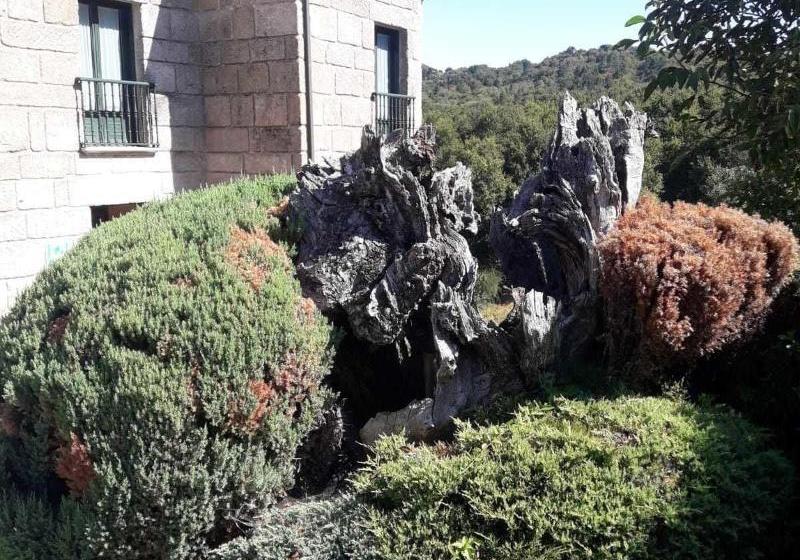 בית מלון כפרי Rústico A Forxa