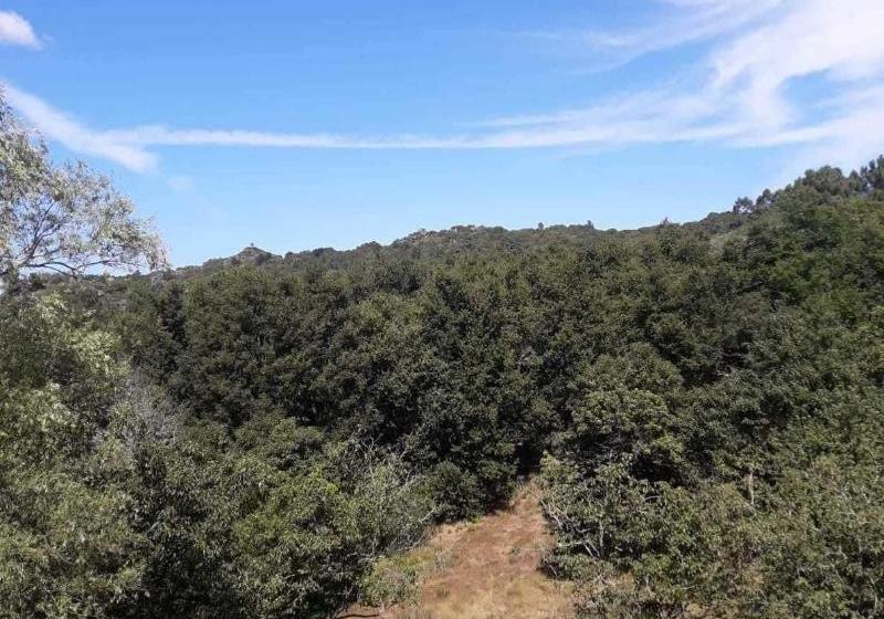 בית מלון כפרי Rústico A Forxa