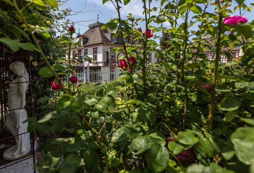 ホテル Winzerverein