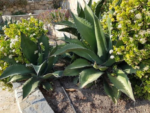 Lavinia Naturist Resort