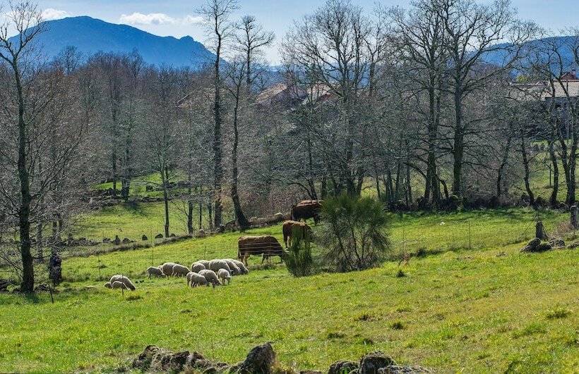 Macheta S Coutry House