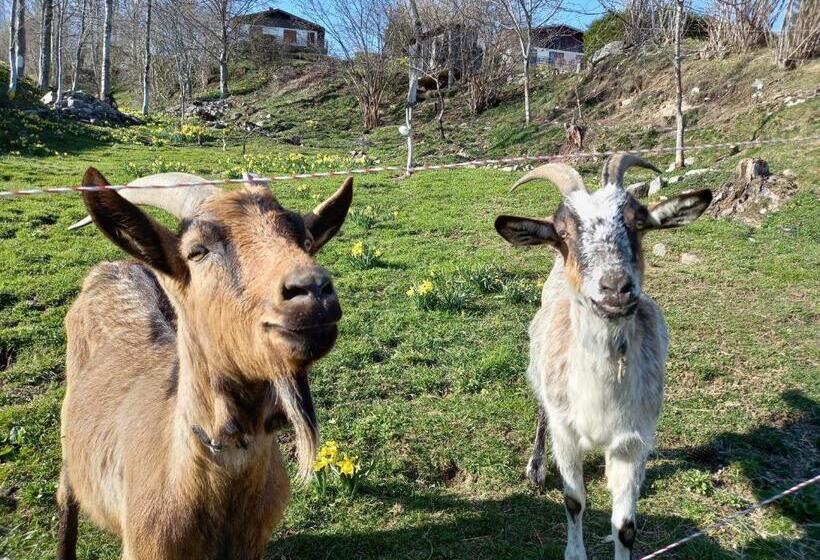 膳宿费 Bellavie   Maison D Hôtes