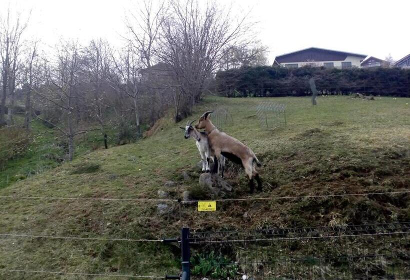 Пансион Bellavie Maison D Hôtes