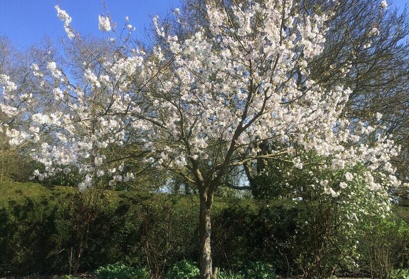 بنسيون Chalkcroft Lodge