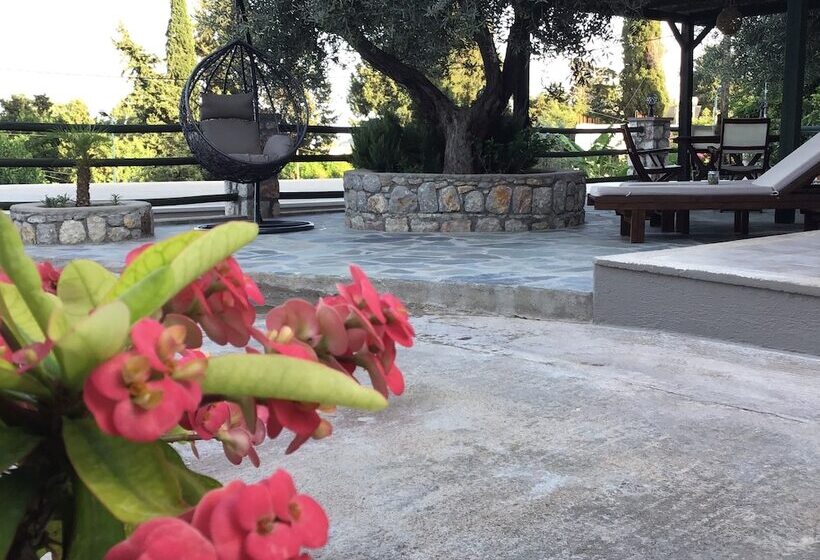 פנסיון Fiore Di Flora