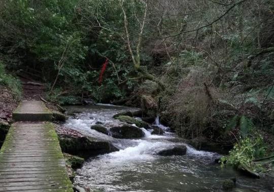 The Studio With Terrace And Ev Point