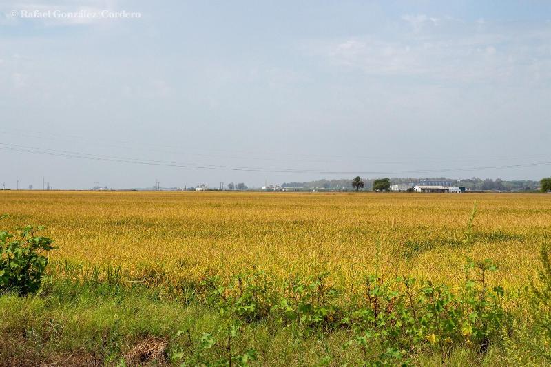 Vivienda Rural El Retorno