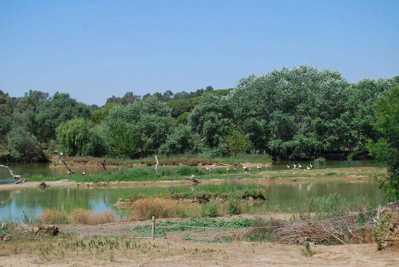Vivienda Rural El Retorno