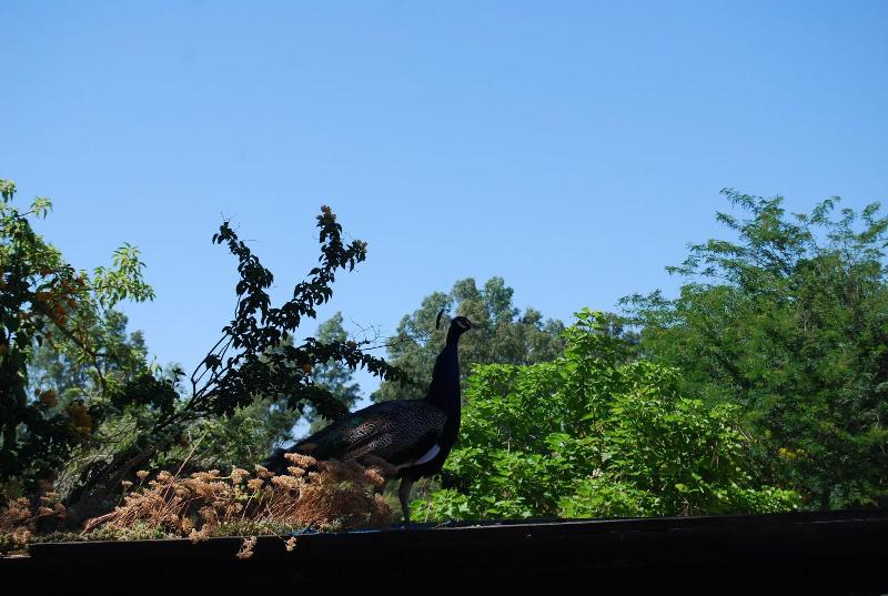 Vivienda Rural El Retorno