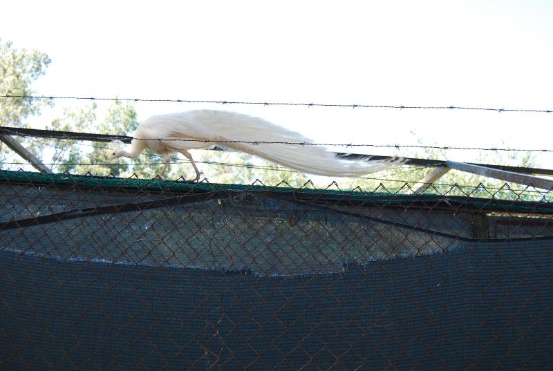 Vivienda Rural El Retorno