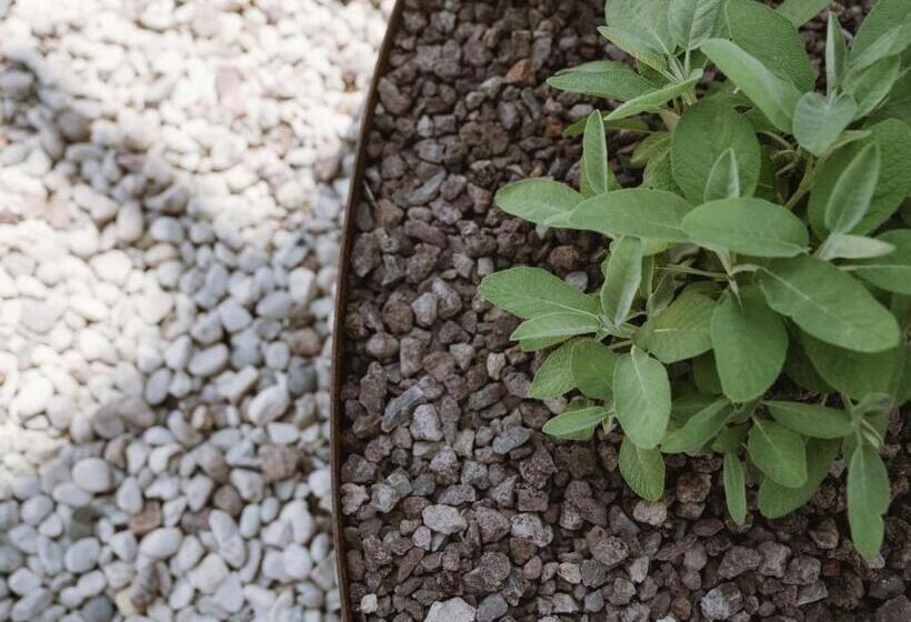 בית מלון כפרי Lindenhof Pure Luxury & Spa Dolcevita Resort