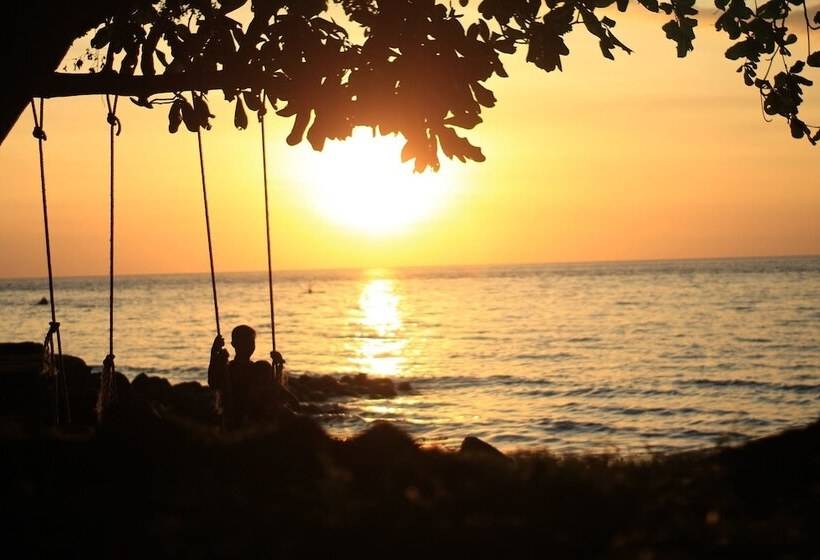 酒店 Murex Dive Resort