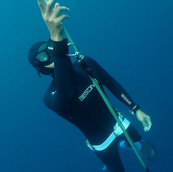 酒店 Murex Dive Resort