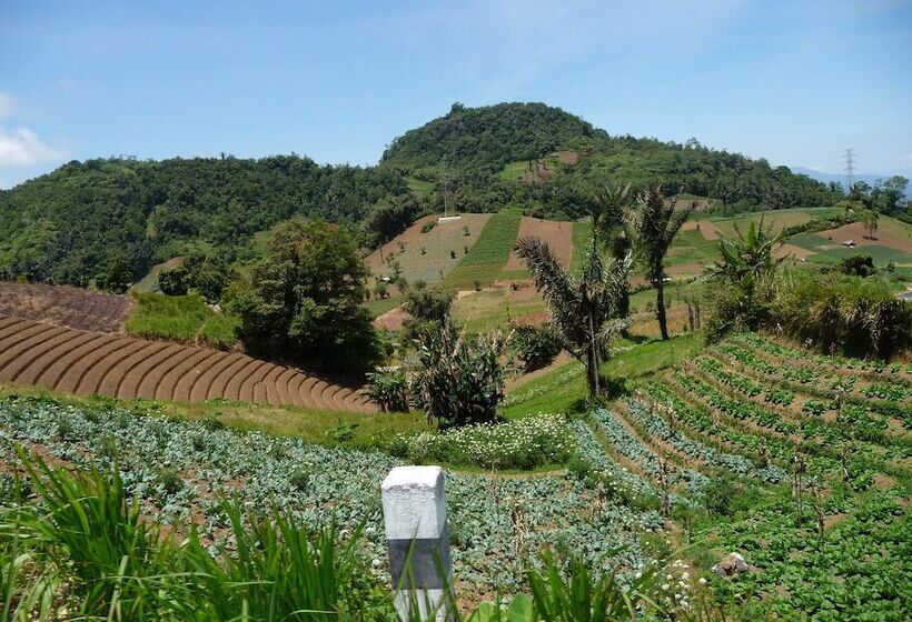 酒店 Murex Dive Resort