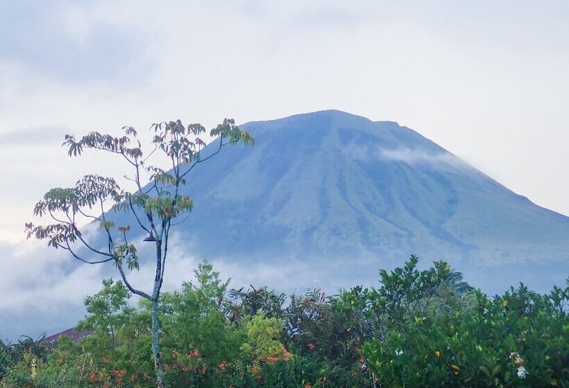 酒店 Murex Dive Resort