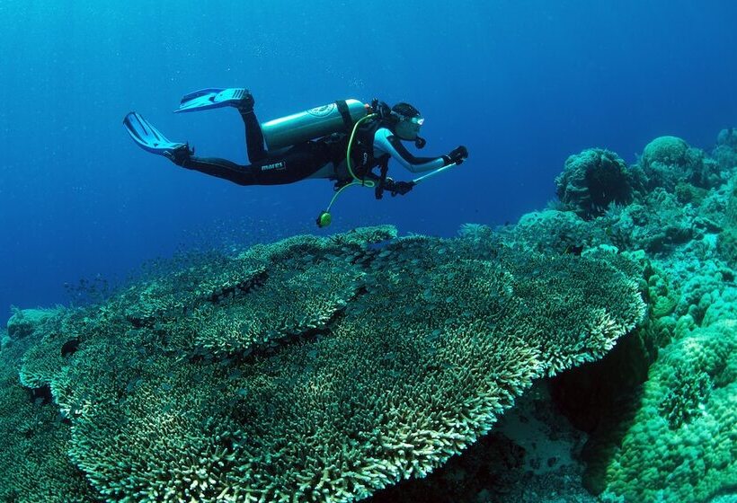 酒店 Murex Dive Resort