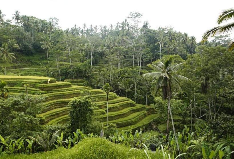 בית מלון כפרי Teluk Karang Dive & Spa Resort