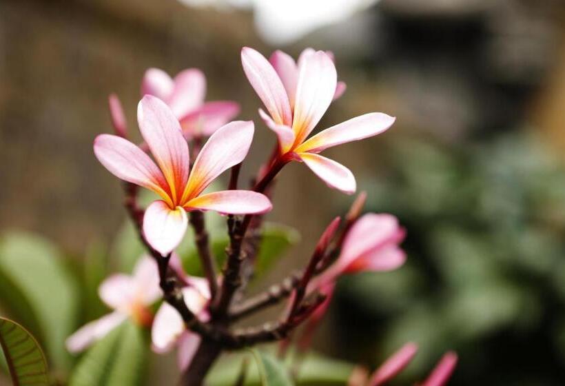 בית מלון כפרי Teluk Karang Dive & Spa Resort