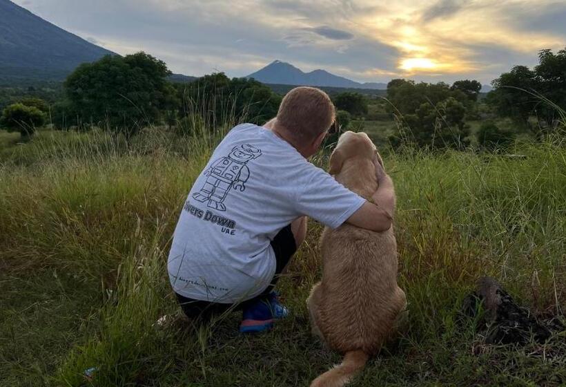 בית מלון כפרי Villa Alba Bali Dive Resort