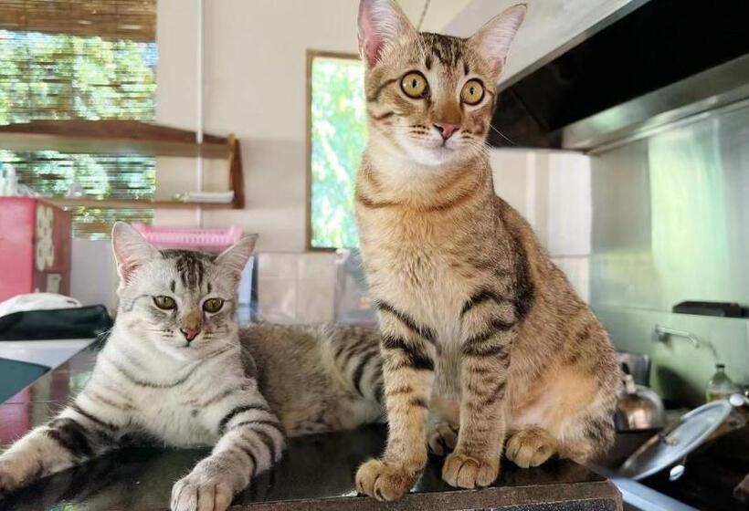 בית מלון כפרי Villa Alba Bali Dive Resort