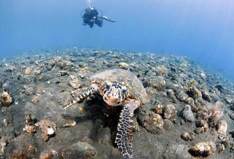 בית מלון כפרי Villa Alba Bali Dive Resort