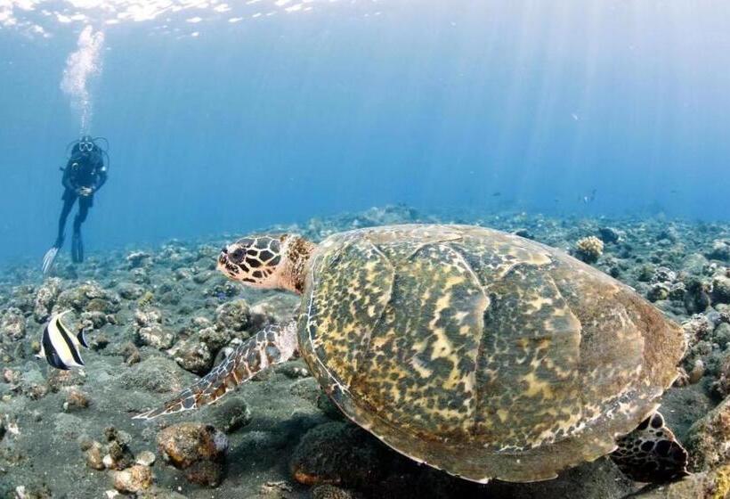 בית מלון כפרי Villa Alba Bali Dive Resort