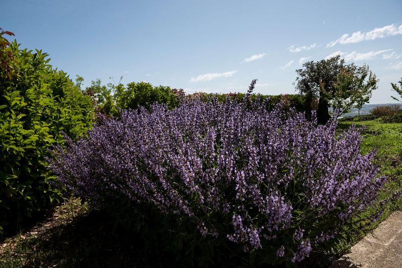 هتل La Dimora Di Spartivento Bw Signature Collection