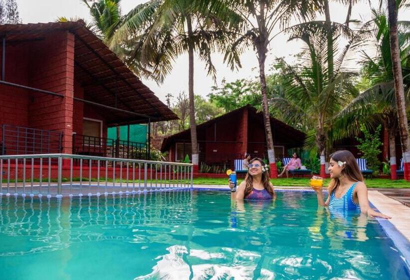 Lotus An Eco Beach Resort Dapoli Murud